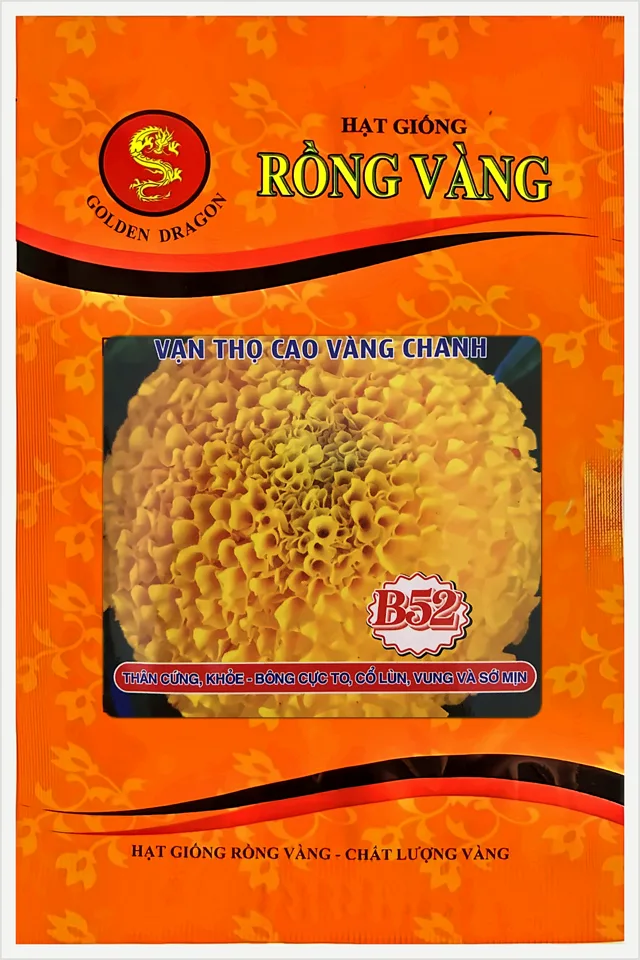 Bao bì Vạn Thọ Cao Vàng Chanh B52