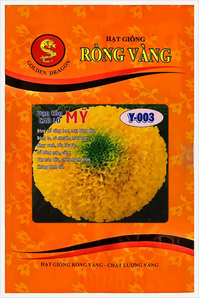Bao bì Vạn Thọ Mỹ F1 Cao Lỡ Vàng Chanh Nhụy Xanh Y-003